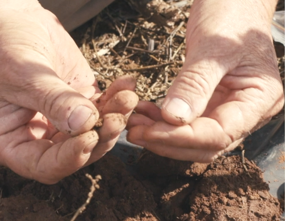 Hands above shovel soil paddock_carbon calling MOBILE